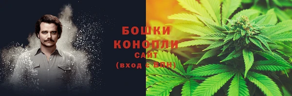 ГАЛЛЮЦИНОГЕННЫЕ ГРИБЫ Балахна