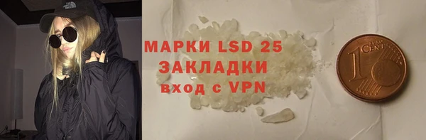 ГАЛЛЮЦИНОГЕННЫЕ ГРИБЫ Балахна