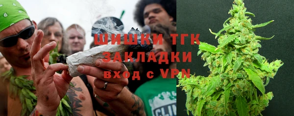 ГАЛЛЮЦИНОГЕННЫЕ ГРИБЫ Балахна