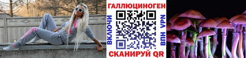Галлюциногенные грибы Psilocybe  Купить где  Отрадное 